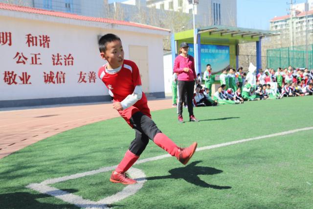 第六届上海杯象棋大师赛圆满落幕 尹昇与王子涵摘得桂冠